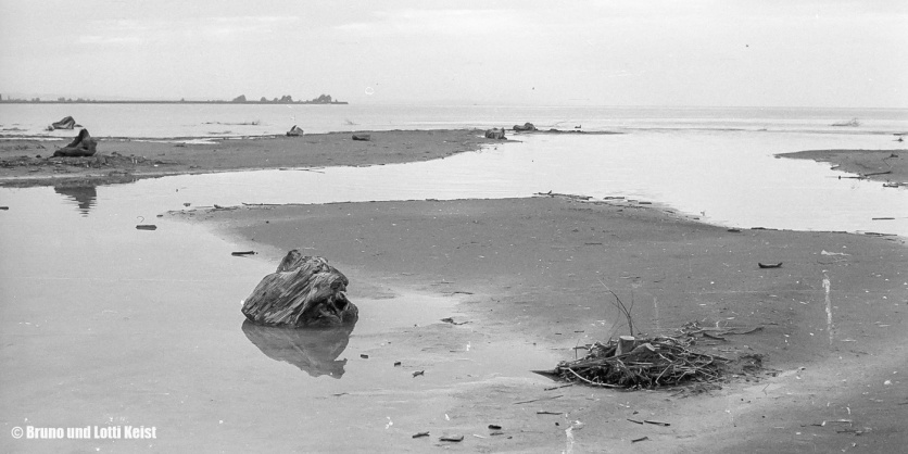 Sanddelta | Im Hintergrund der Rohrspitz, dazwischen die Fussacher Bucht | 22.08.1969 | Foto bereitgestellt von Lotti und Bruno Keist